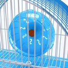 Клетка для грызунов укомплектованная RT-2c, 23 х 16,5 х 20 сма, голубая (фасовка 30 шт) (комплект 30 шт) - фото 24288829