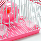 Клетка для грызунов укомплектованная RT-2c, 23 х 16,5 х 20 см, розовая (фасовка 30 шт) - Фото 6
