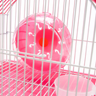 Клетка для грызунов укомплектованная RT-2c, 23 х 16,5 х 20 см, розовая (фасовка 30 шт) - Фото 8