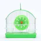 Клетка для грызунов укомплектованная RT-2c, 23 х 16,5 х 20 см, зеленая (фасовка 30 шт) - Фото 2