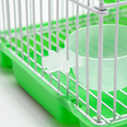 Клетка для грызунов укомплектованная RT-2c, 23 х 16,5 х 20 см, зеленая (фасовка 30 шт) - Фото 5