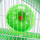 Клетка для грызунов укомплектованная RT-2c, 23 х 16,5 х 20 см, зеленая (фасовка 30 шт) - Фото 10