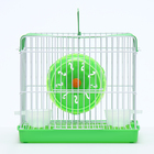 Клетка для грызунов укомплектованная RT-2q, 22 х 16 х 20 см, зелёная (фасовка 30 шт) - Фото 2