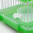 Клетка для грызунов укомплектованная RT-2q, 22 х 16 х 20 см, зелёная (фасовка 30 шт) - Фото 5