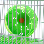 Клетка для грызунов укомплектованная RT-2q, 22 х 16 х 20 см, зелёная (фасовка 30 шт) - Фото 10