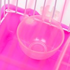 Клетка для грызунов укомплектованная RT-2t, 22 х 16 х 20 см, розовая (фасовка 30 шт) - Фото 4