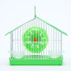 Клетка для грызунов укомплектованная RT-2t, 22 х 16 х 20 сма, зелёная (фасовка 30 шт) - Фото 2