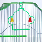 Клетка для птиц укомплектованная Bd-1/4f, 30 х 23 х 39 см, зелёная (фасовка 12 шт) - Фото 7