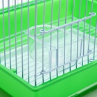 Клетка для птиц укомплектованная Bd-1/1d, 30 х 23 х 39 см, зелёная (фасовка 12 шт) - Фото 6