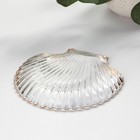 Блюдо сервировочное Magistro «Ракушка», 14×13.5×1.5 см, фигурное - Фото 4