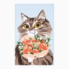 Набор полотенец кухонный Доляна Cats 35×60 см - 8 шт., 100% хлопок - Фото 9