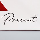 Пакет подарочный с широким дном, упаковка, «Подарок», 20 х 14 х 13.2 см - Фото 5