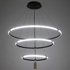 Люстра 2685/3 LED 170Вт 3000-6000К черно-золотой 80х80х40 см BayerLux - фото 33060570
