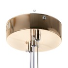 Люстра BayerLux 2686/2GD LED 20Вт 3000-6000К золотой 30х30 см 7514754 - фото 14102392