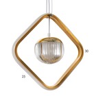 Люстра BayerLux 2686/2GD LED 20Вт 3000-6000К золотой 30х30 см 7514754 - фото 14102393