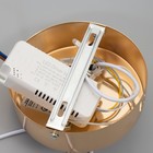 Люстра BayerLux 2686/2GD LED 20Вт 3000-6000К золотой 30х30 см 7514754 - фото 14102394