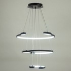 Люстра с ПДУ "Брочини" 3LED 240Вт 3000-6000К черный 60х60х110 см BayerLux 7673090