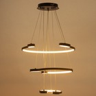 Люстра с ПДУ "Брочини" 3LED 240Вт 3000-6000К черный 60х60х110 см BayerLux 7673090