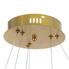 Люстра BayerLux с ПДУ «Примавера» LED 140 Вт 3000-6000К золото 60×60×50 см - фото 53940173