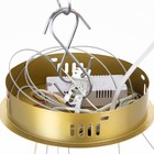 Люстра BayerLux с ПДУ «Примавера» LED 140 Вт 3000-6000К золото 60×60×50 см - фото 53940177