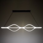Люстра BayerLux "Волны нео" 3LED 100Вт 3 режима черный 15х120х8-85 см 7673122 - фото 14102556