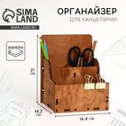 Органайзер "Замок" 3 секции 21х14,4х14,2 см 9357779 - фото 16177558