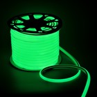 Гибкий неон Luazon Lighting 16 мм D-образный, IP65, 50 м, SMD2835, 120 LED/м, 220 В, свечение зелёное - фото 5313862