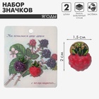 Набор значков (2 шт.) «Ягоды» малина и ежевика, цветной в золоте - фото 26981648