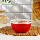 Миска с крышкой «Гранат», 1 л, 17×16,2×8 см, цвет красный - Фото 1