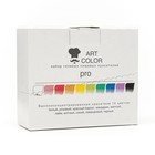 Набор красителей Art Color Pro 10 цветов (1 упаковка) - Фото 2