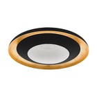 Светильник CANICOSA 2, 1x24,5Вт LED, 2700-6500K, 3000лм, цвет золото, черный - фото 300090932