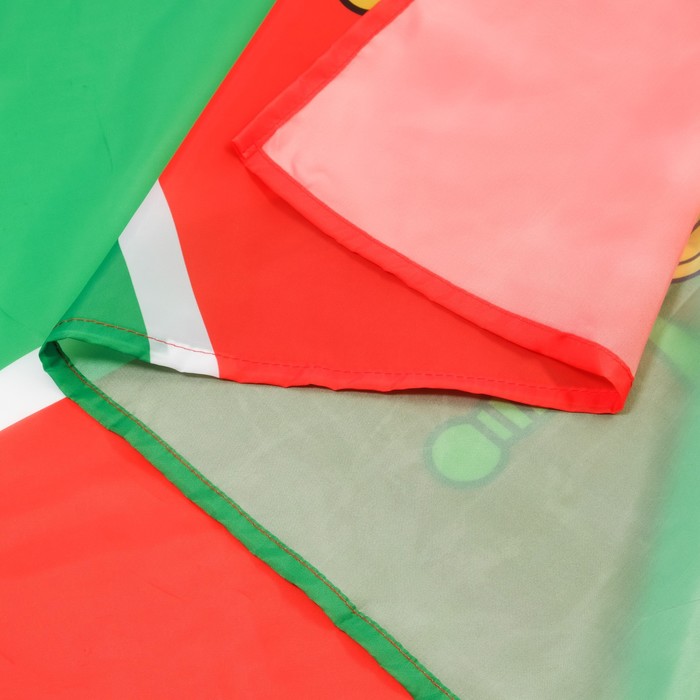 Флаг Пограничные войска, 90 х 135 см, полиэфирный шелк, без древка - фото 1926552413