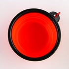 Набор поилка и силиконовая миска «Друзья навсегда» - Фото 9