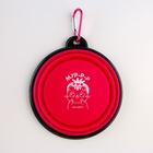 Поилка и силиконовая миска «Котики» - Фото 10