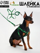 Комплект «Камуфляж», ОШ 16.5-27, ОГ 21-35 см, 120×1 см, капрон, зелёный - Фото 1