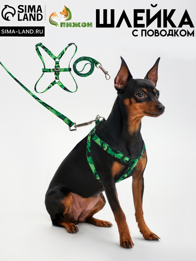 Комплект «Камуфляж», ОШ 16.5-27, ОГ 21-35 см, 120×1 см, капрон, зелёный