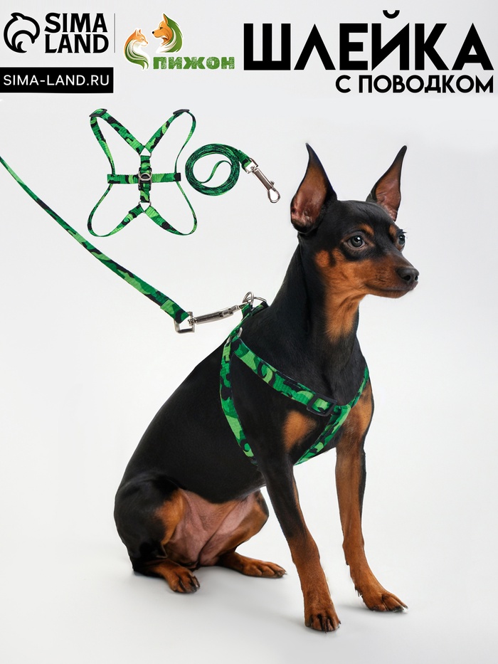 Комплект «Камуфляж», ОШ 16.5-27, ОГ 21-35 см, 120×1 см, капрон, зелёный - Фото 1