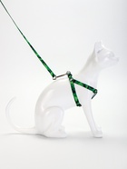 Комплект «Камуфляж», ОШ 16.5-27, ОГ 21-35 см, 120×1 см, капрон, зелёный - Фото 3