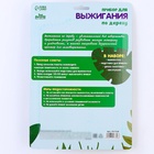 Выжигание и роспись по дереву «Динозавры», набор для творчества - Фото 8