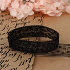 Кружево капроновое, 15 мм × 10 ± 1 м, цвет чёрный - Фото 3