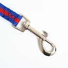 Поводок 2 м × 1.5 см, сине-красный - Фото 2