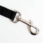 Поводок, 3 м × 2 см, чёрный - Фото 2