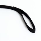 Поводок, 3 м × 2 см, чёрный - Фото 3