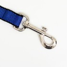 Поводок 3 м × 2 см, сине-чёрный - Фото 2