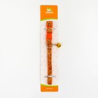 Ошейник "Шик", 33 х 1 см, оранжевый - фото 9041211
