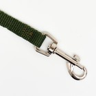 Поводок, 3 м, ширина 1.5 см, зелёный - Фото 2