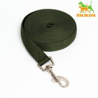 Поводок, 5 м × 2 см, зелёный - Фото 1