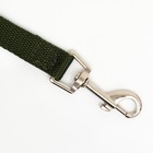 Поводок, 5 м × 2 см, зелёный - Фото 2