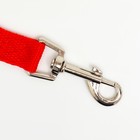 Поводок 5 м × 2 см, красный - Фото 2