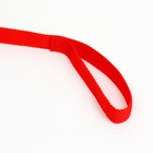 Поводок 5 м × 2 см, красный - Фото 3